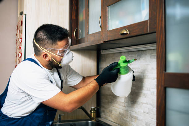 Best Bed Bug Extermination  in Josephine, TX