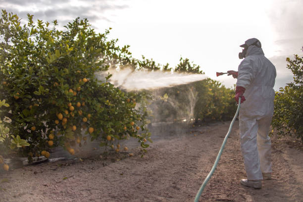 Best Rat Extermination Near Me  in Josephine, TX
